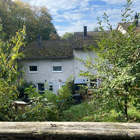 In Saarbruecken Stadtnahe Gemuetliche Wohnung Am Deutsch-Franzoesischen Garten Екстер'єр фото