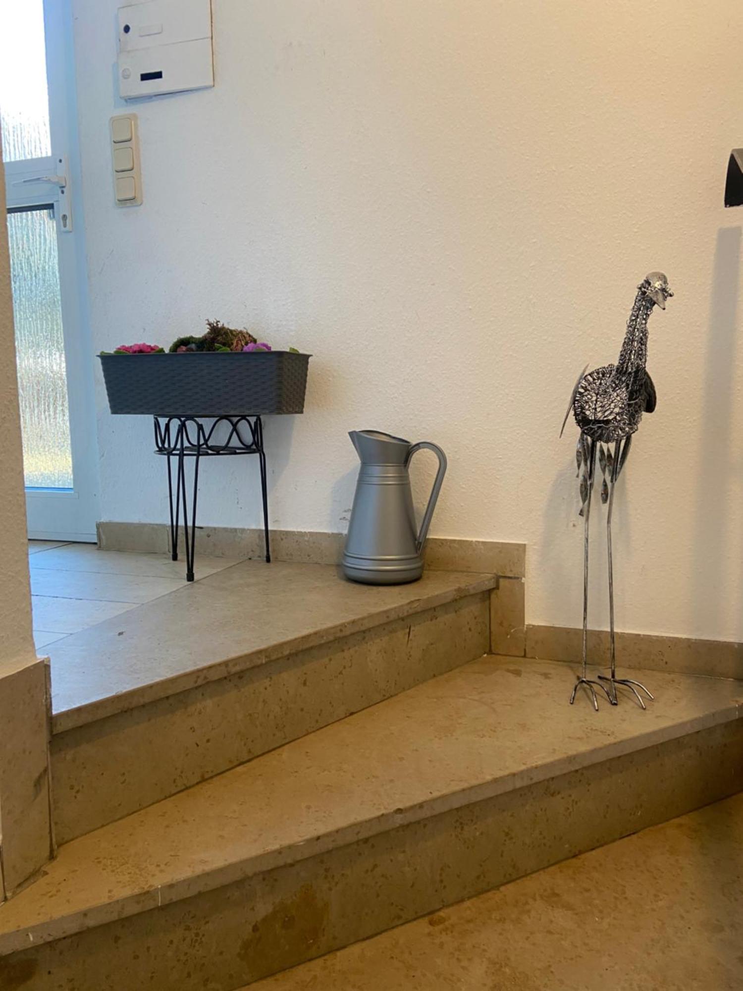 In Saarbruecken Stadtnahe Gemuetliche Wohnung Am Deutsch-Franzoesischen Garten Екстер'єр фото