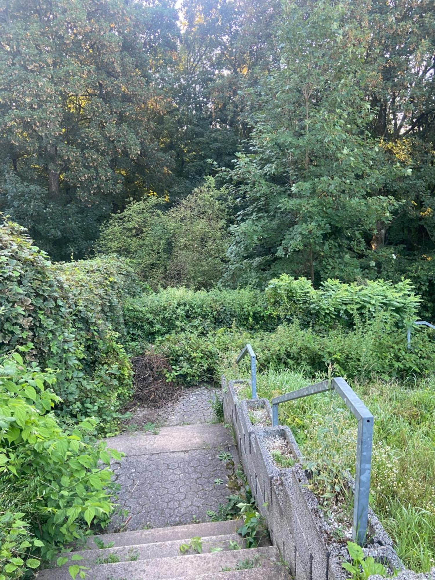 In Saarbruecken Stadtnahe Gemuetliche Wohnung Am Deutsch-Franzoesischen Garten Екстер'єр фото